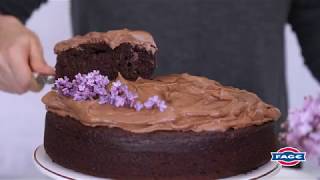 Double Chocolate Greek Yogurt Cake Recipe [upl. by Selestina]