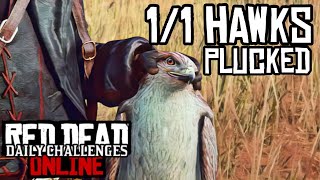 Daily Challenges  11 Hawks Plucked  Hawk Location  RDR2 Online [upl. by Alec]