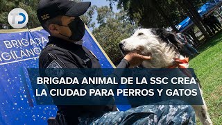 En CdMx inauguran Ciudad de los Perros y Gatos albergue para animales rescatados [upl. by Eillen]