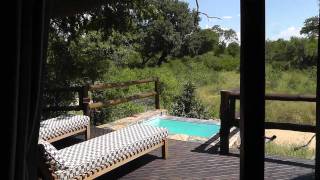 Safari Lodge River Room 4 Ulusaba [upl. by Ryun]