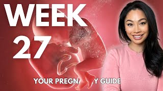 27 Weeks Pregnany  Baby Development amp What to Expect [upl. by Acireh]