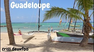 Cocotier  Paradis  Plage et Soleil  Guadeloupe  Climat Tropical  Relax  France [upl. by Glick976]