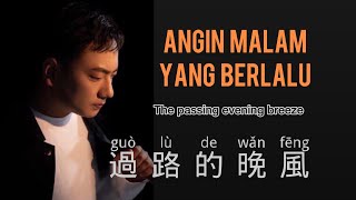 過路的晚風海來阿木  Guo Lu De Wan Feng  Hai Lai A Mu  Chinese Song  Pinyin  Mandarin Song [upl. by Allehcram]