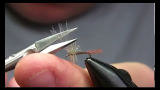 Gray Haze Cripple Mayfly Cripple  Yellowstone Country Fly Fishing [upl. by Euqinorev]