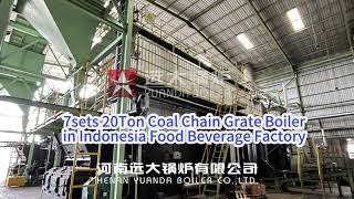 20Ton Coal Steam Boiler Chain Grate Boiler Indonesia [upl. by Vullo705]