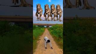 Dinosaur tiktok short video jurassicworld dinosaur jurassic ytshorts youtube shorts dino [upl. by Hsan]