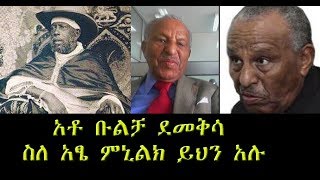 የቡልቻ ደመቅሳ ቃለ መጠይቅ  Bulcha Demeksa Latest Interview on the Current Political Event [upl. by Tish]