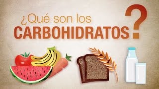 ¿Qué son los carbohidratos [upl. by Llirrem269]