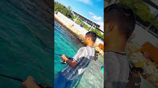 fishing 🎣 time 🐠 shortvideo maldives fishing vairalshort [upl. by Moselle]