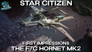 Star Citizen First Impressions  The F7C Hornet Mk2 [upl. by Sutherland]