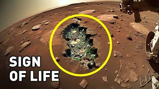 Signs Of Life Have Been Unexpectedly Found on Mars The Big Movie About Mars [upl. by Muslim]