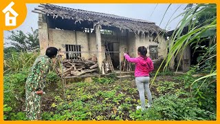 Couple Completed Transformed a Dilapidated House and Garden in the Countryside  Start to Finish [upl. by Oigile561]