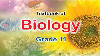 27 BIOLOGICAL MOLECULES PART 7 II 11TH CLASS FEDERAL BOARD [upl. by Clarisa]