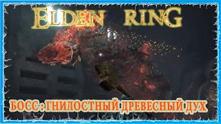 ГНИЛОСТНЫЙ ДРЕВЕСНЫЙ ДУХ  PUTRID TREE SPIRIT 🔥 ELDEN RING [upl. by Menzies]