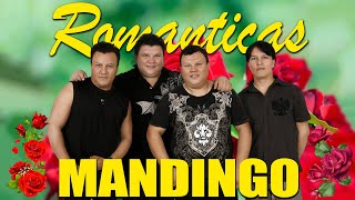 Grupo Mandingo ❤️✨ Exitos Sus Mejores Canciones De Grupo Mandingo ❤️✨Mix Romanticas 2024 romantic [upl. by Lammaj]