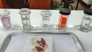 paraffin method 5 การย้อมสี Hematoxylin and Eosin HampE staining [upl. by Aidualc348]