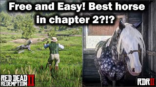 Free and Easy to get Missouri Fox Trotter in Chapter 2  Red Dead Redemption 2  RDR2 in 2021 Horse [upl. by Lillian963]