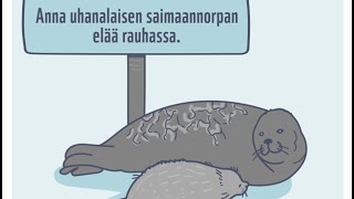 MITÄ NORPISTA PITÄÄ TIETÄÄ  Yhteinen saimaannorppamme LIFE [upl. by Beryl]