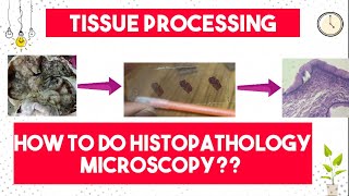 Tissue Processing  How to do Histopathology Light Microscopy  9 Steps of Tissue Processing [upl. by Irt]