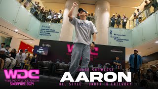 Aaron Tan SG  Judge Showcase  WDC Singapore 2024  RPProds [upl. by Ecad]