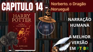 Harry Potter e a Pedra Filosofal ⚡ CAPITULO 14 Audiolivro em PTBR [upl. by Nautna]