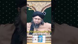 Tommy Ulema 😂🐕 engineermuhammadalimirza funny shorts viral jehlumacademy alibhai [upl. by Ahsinaj]