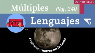 quotCráteres y mares en la lunaquot Múltiples lenguajes 5to grado Audiolibro Nuevos libros [upl. by Alleirbag863]