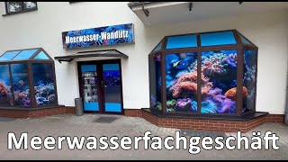 Meerwasseraquaristik Berlin Zu Besuch bei Meerwasser Wandlitz [upl. by Syla]