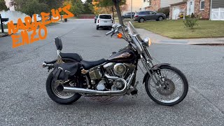 Softail Springer 1995 Harley Davidson 34000 miles [upl. by Leta565]