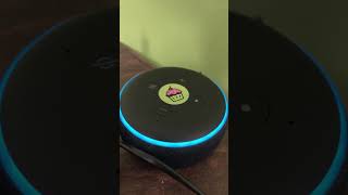 vlog alexa internet wifi domande [upl. by Solange556]