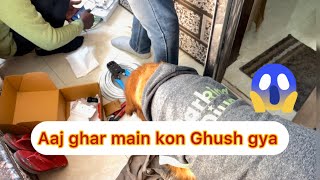 😱fendy ne aaj puri tahkikat ki anjan shakhs ki 🐶  golden Retriver  pet lovers  YouTube [upl. by Harihs]