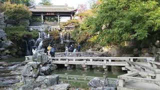 waterfall  Yangzhou china [upl. by Franza96]