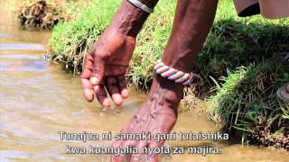 Tingatinga Lengutuk Elmolo community northern Kenya Swahili subtitles [upl. by Arimak538]