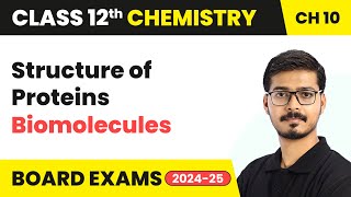 Structure of Proteins  Biomolecules  Class 12 Chemistry Chapter 10  CBSE 202425 [upl. by Porte]