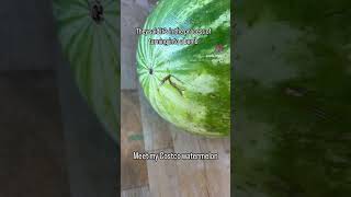 Have you had a Costco watermelon blow up yet Be very careful [upl. by Kimmie]