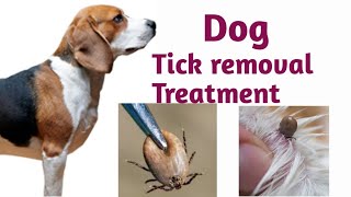 Dog Tick Removal Remedies HindiHow to Remove Ticks From Dogs [upl. by Amsa688]