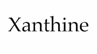 How to Pronounce Xanthine [upl. by Reiche406]