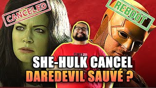 SheHulk naura pas de saison 2 un espoir pour Daredevil [upl. by Ondrea]