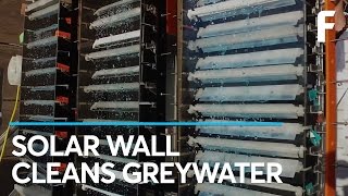 Clean Greywater at Home Instead of Discarding It [upl. by Noevad]