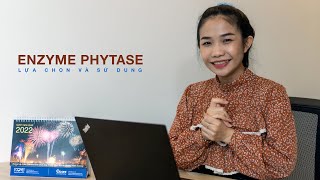 LỰA CHỌN ĐÚNG ENZYME PHYTASE DÙNG TRONG THỨC ĂN CHĂN NUÔI [upl. by Barbe]