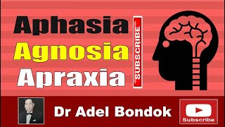 Aphasia Agnosia and Apraxia Dr Adel Bondok Making Anatomy Easy [upl. by Euqimod]