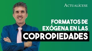 Formatos de exógena presentados por las copropiedades [upl. by Alad]