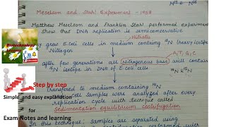 Meselson and Stahl Experiment  Class 12 Genetics  NEET Biology [upl. by Menashem]