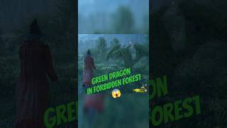 Green Dragon in Hogwarts legacy gaming hogwartslegacy dragon foryou magic hogwarts [upl. by Rednas]