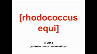 Pronounce Rhodococcus equi  SpeakMedical [upl. by Carnay]