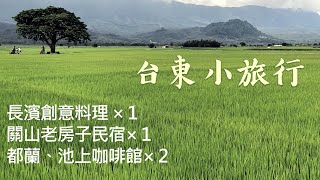 台東2天1夜小旅行｜關山＆池上小鎮漫步、長濱齒草埔料理人的家、都蘭小房子、興源行民宿、奉口冰室／The Best Things to do eat in Taitung [upl. by Flinn]