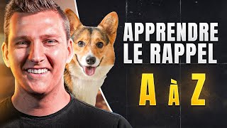 Comment Apprendre le RAPPEL pour chien de A à Z GUIDE COMPLET [upl. by Aniratac]