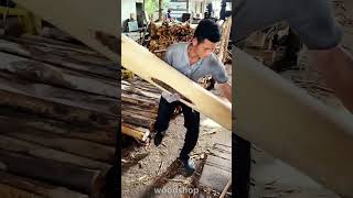 wood processing for debarking and plywood WoodWorkshop industrialwoodprocessing woodworking [upl. by Eugaet]