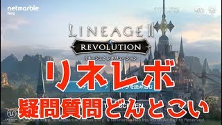 【リネレボ】放置狩りの適正場所と設定、中ボスについて【リネージュ２レボリューション】 [upl. by Anairad]