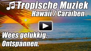 Hawaiiaanse Muziek Caribische Eiland Ontspannen Romantische Tropische songs ontspannen studie Hawaii [upl. by Alil]